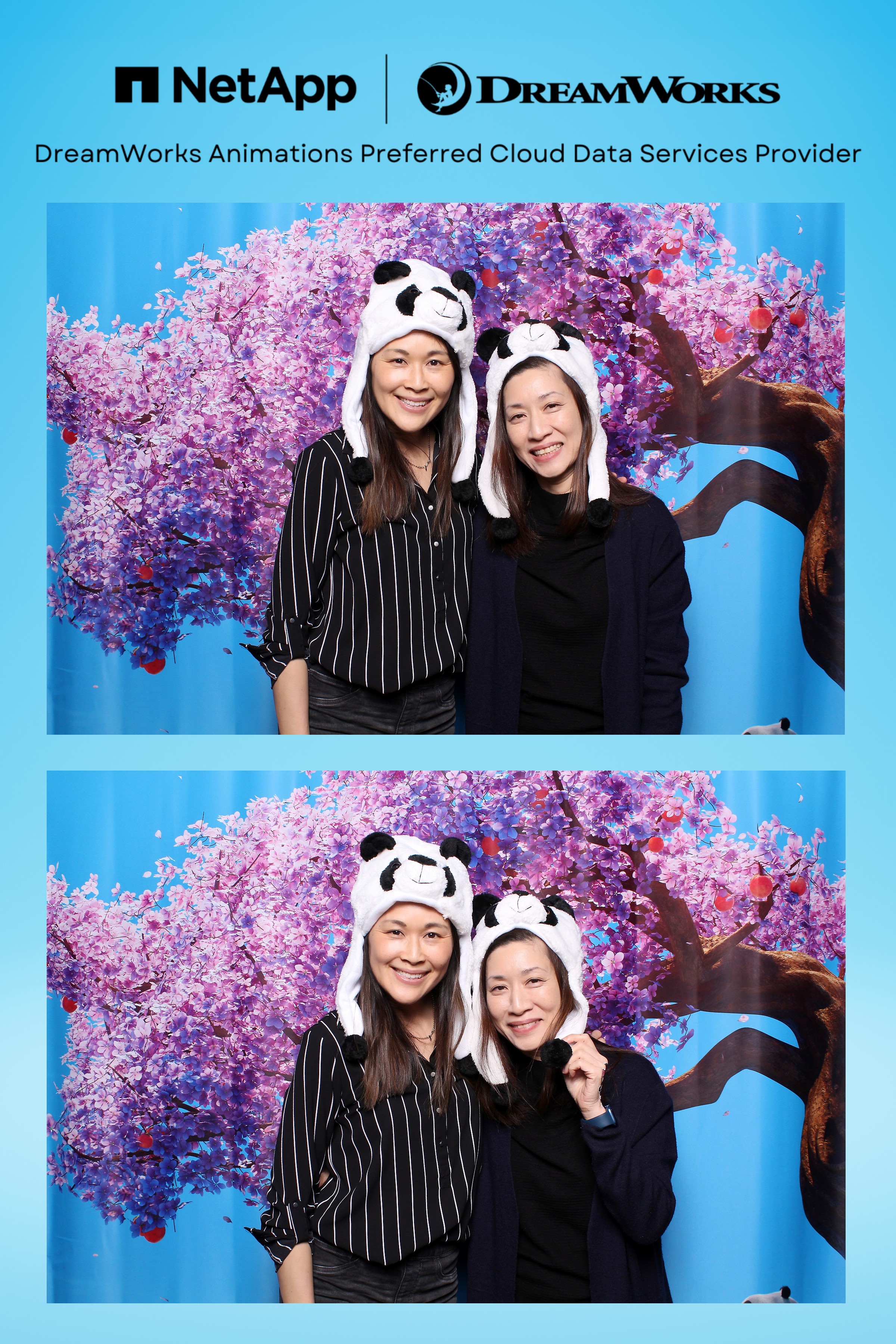 NetApp / DreamWorks — Corporate